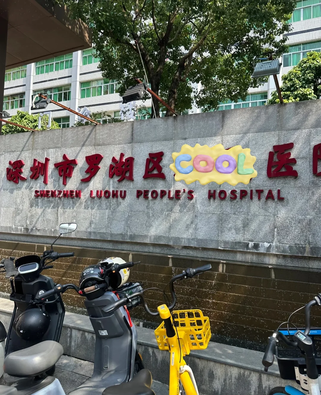 罗湖区公立🏥招聘