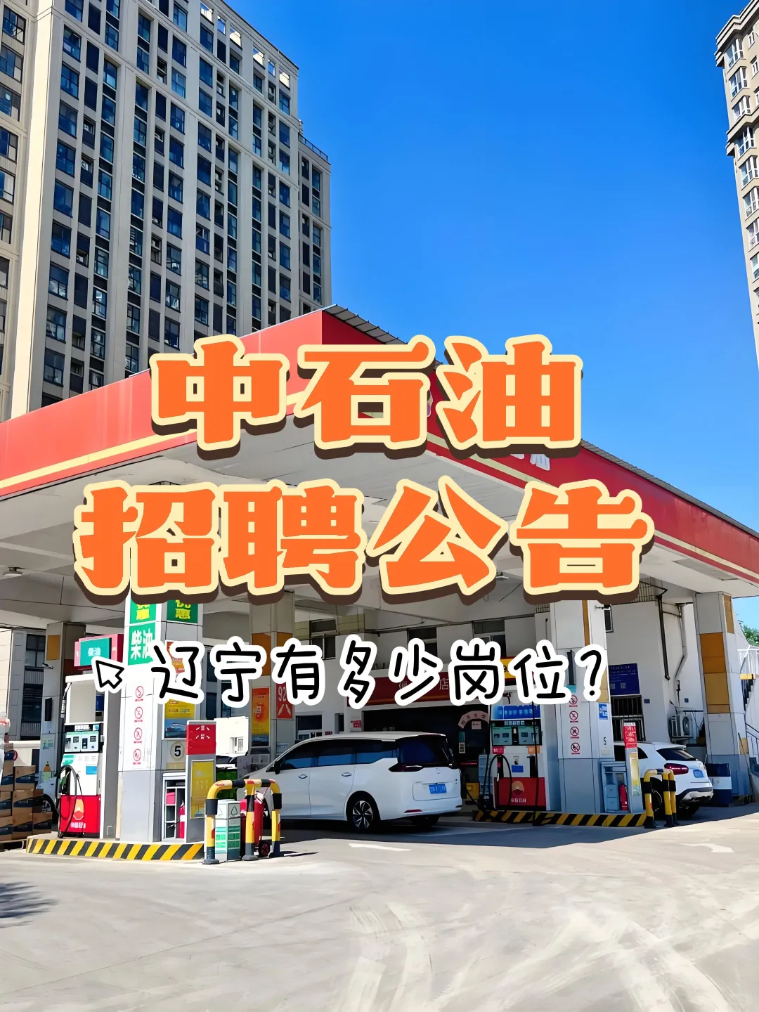 中石油招聘公告，辽宁有多少岗位？