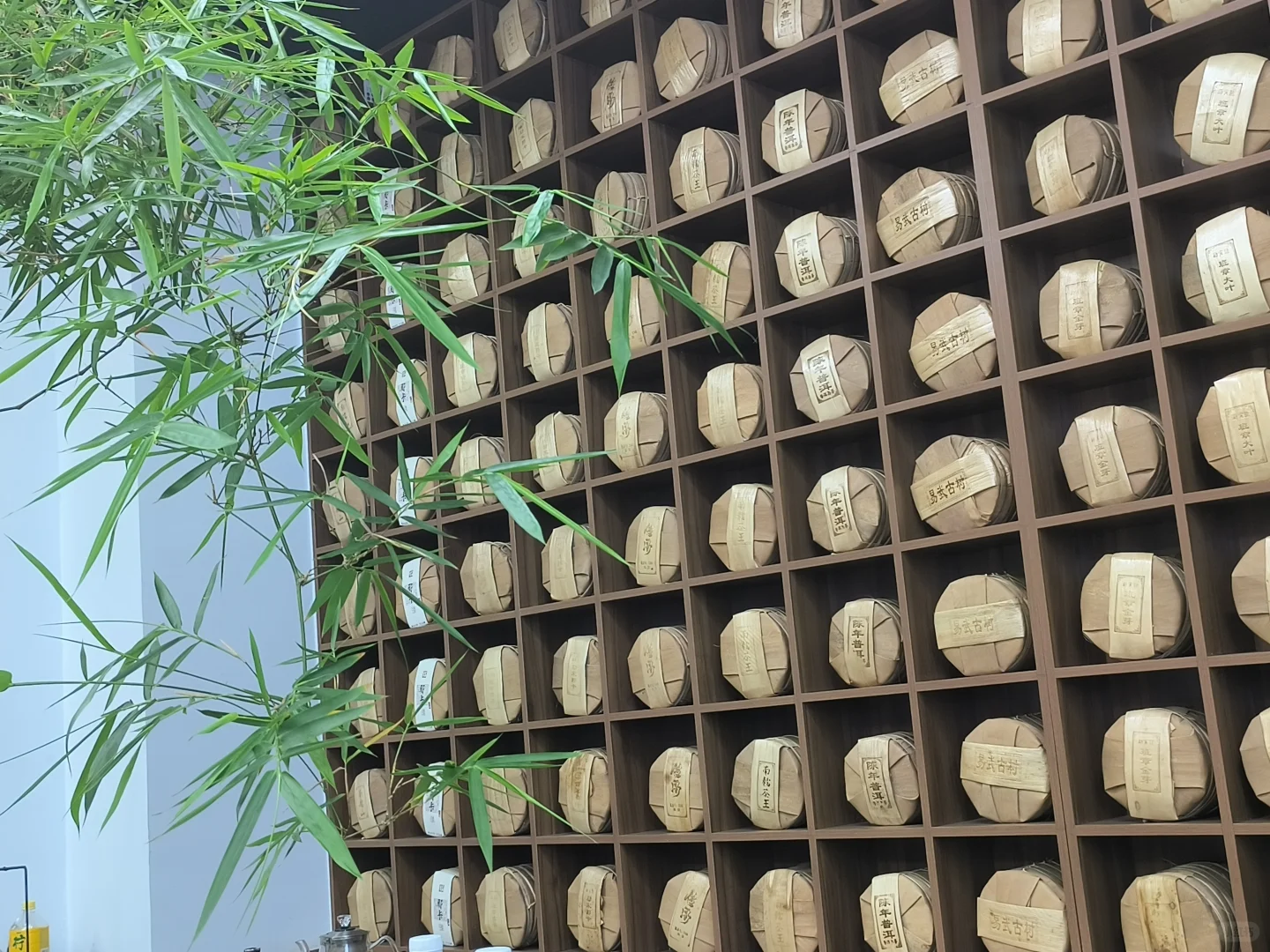 呼和浩特招聘主播一牧