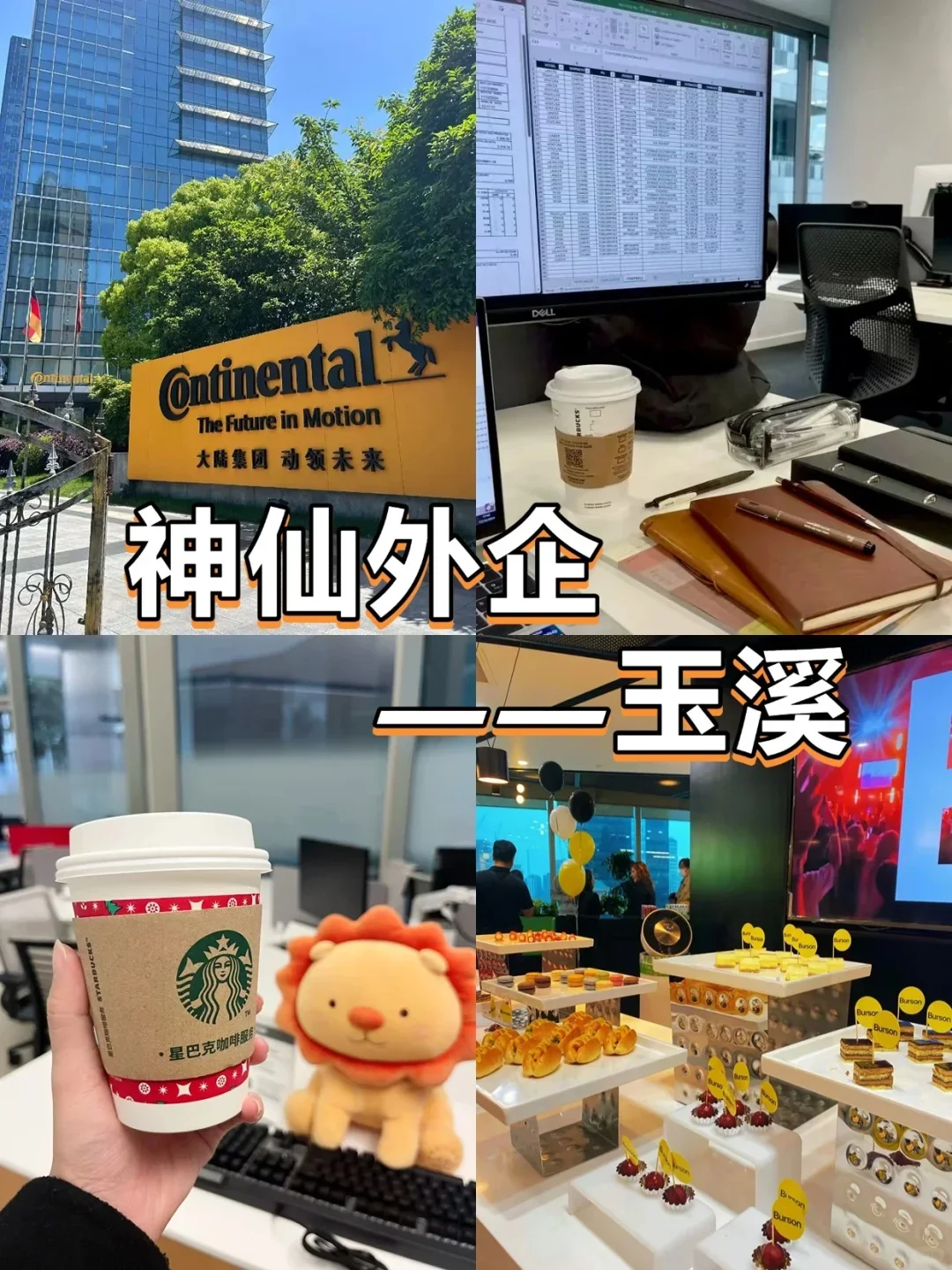 神仙外企——玉溪