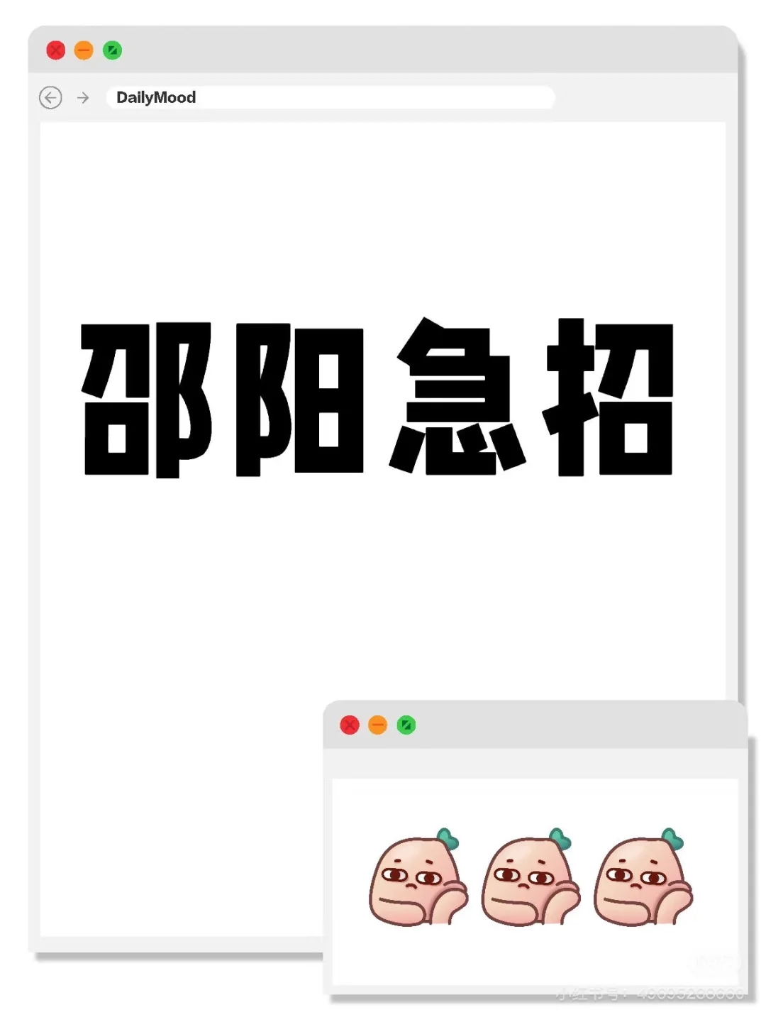 邵阳急招