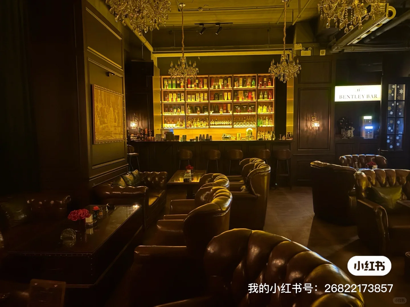 来了，来了，快来！