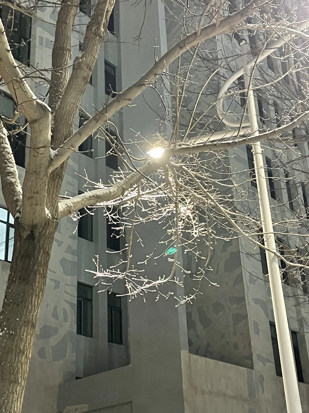 农业经济管理专业就业