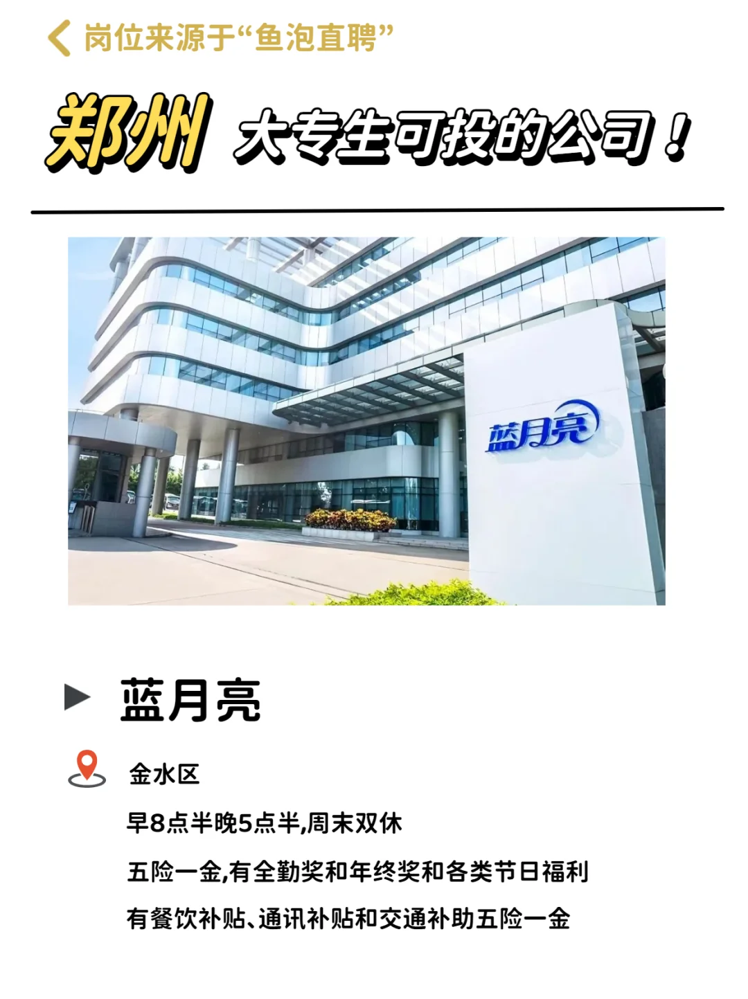 郑州大专生可投的宝藏公司，双休待遇优厚