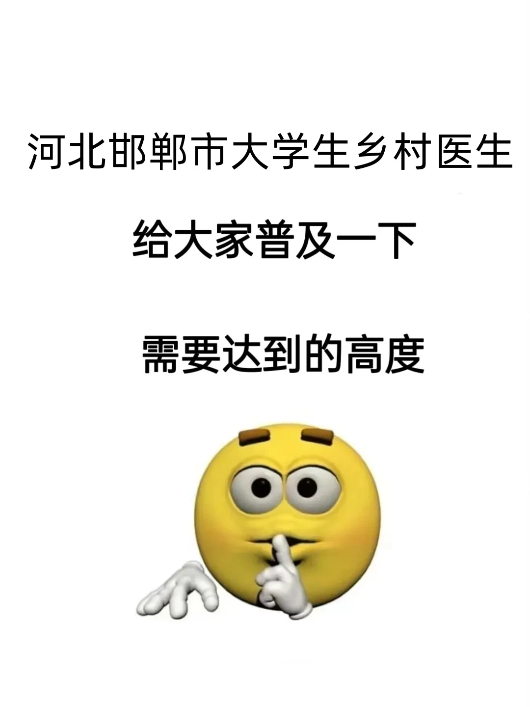 河北邯郸大学生乡村医生，蕞简单的一年！