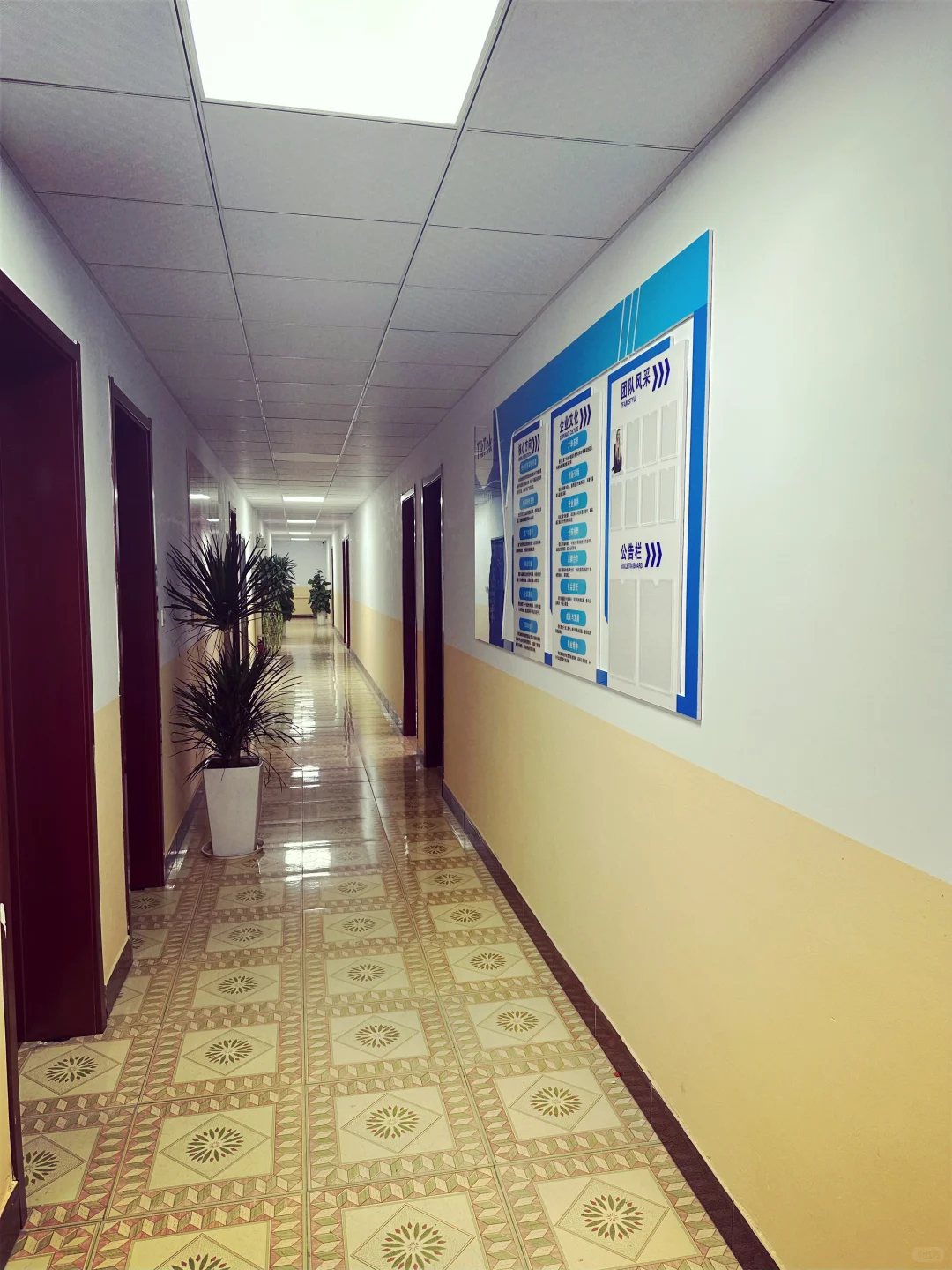 衡水华兮元传媒