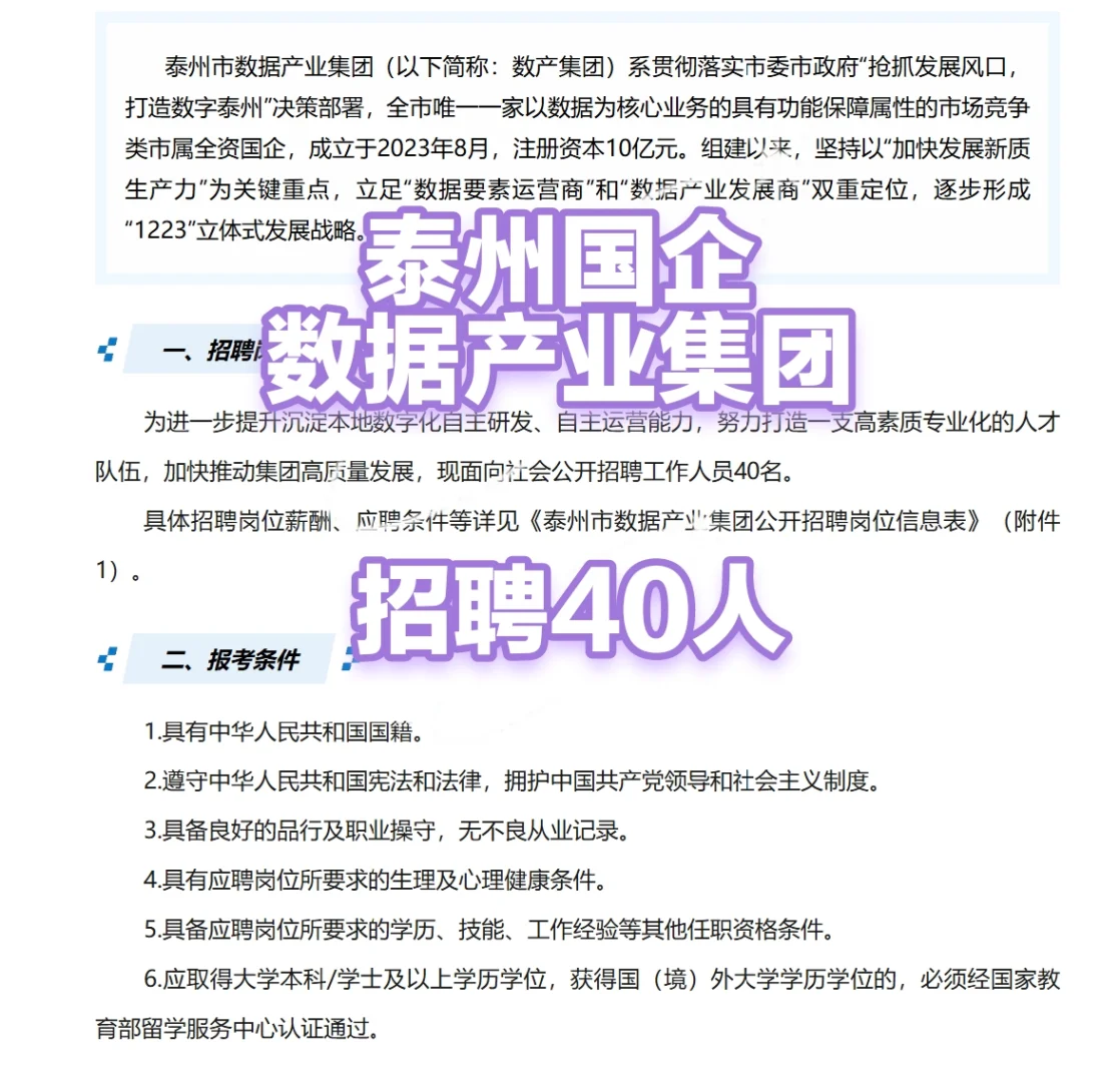 泰州国企数据产业集团招聘40人