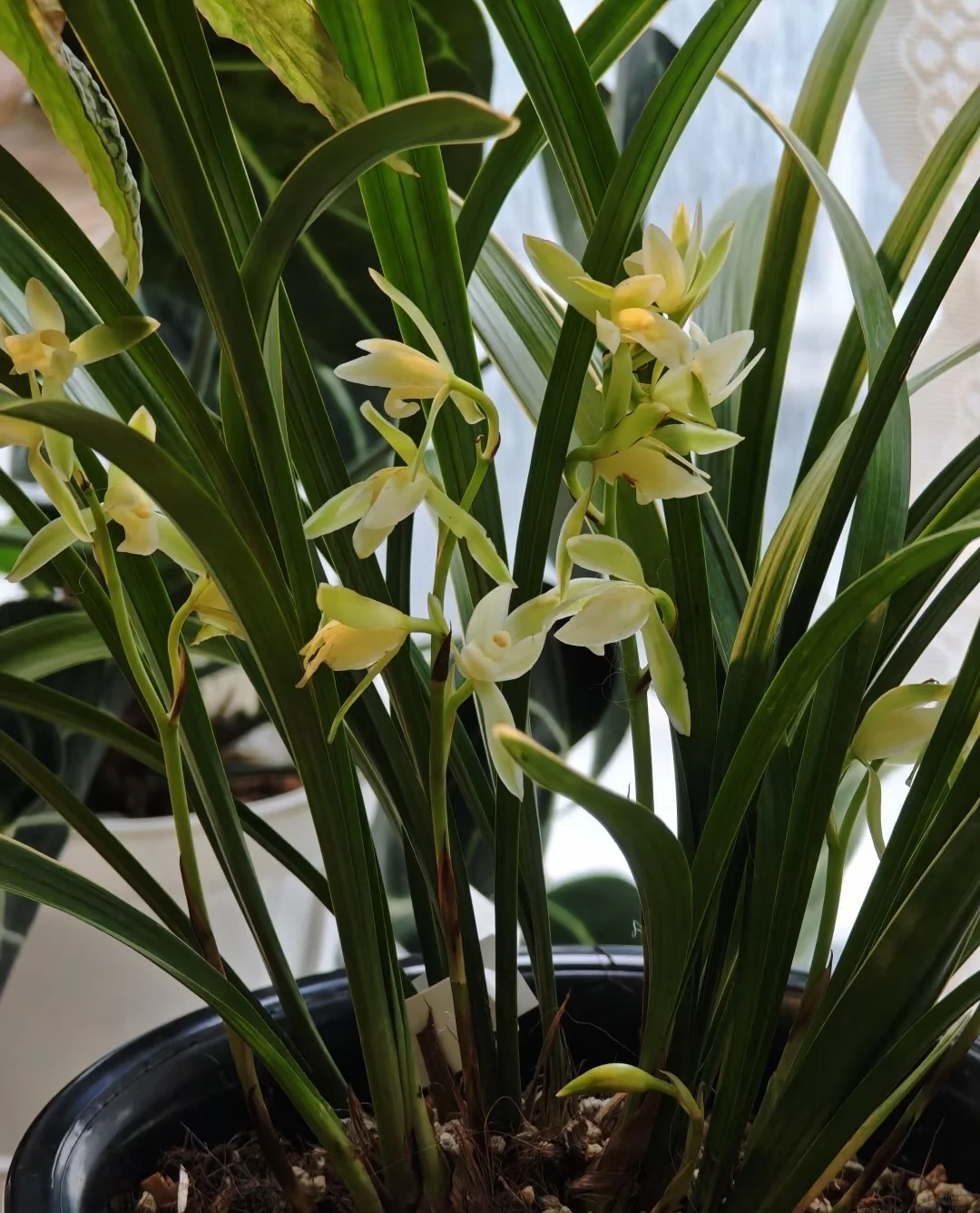 上海事业单位上海外国语大学行政岗推荐