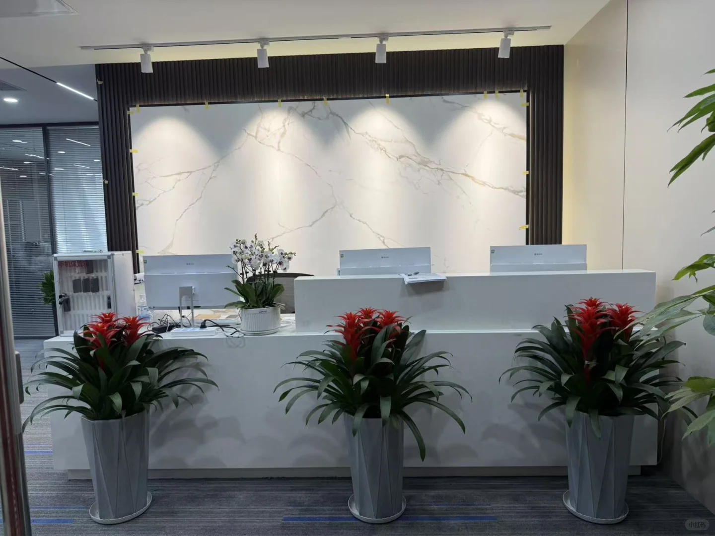 石家庄还在找工作的快过来啦!