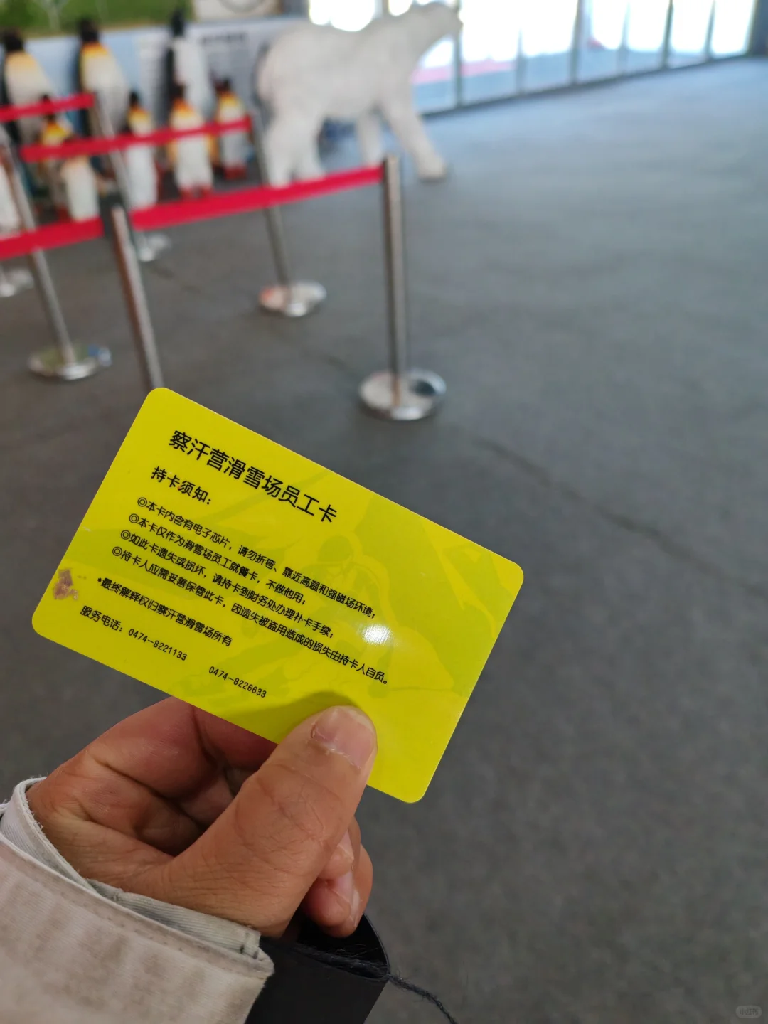 被骗到乌兰察布做滑雪教练还被拖欠工资