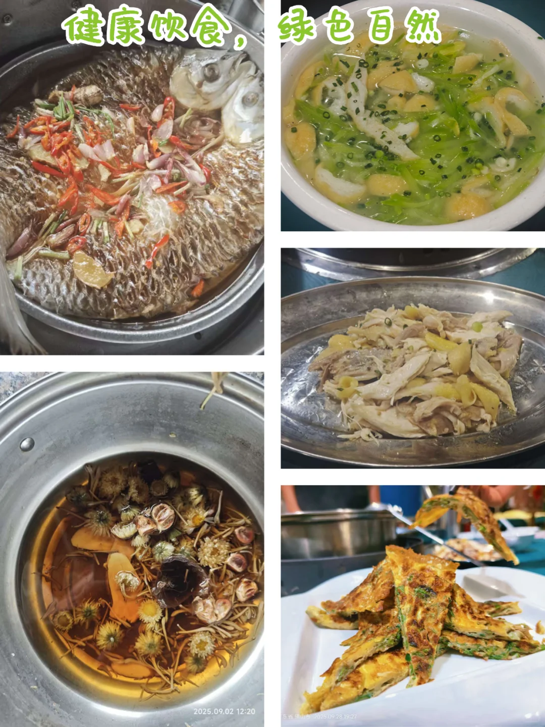 广东南药科普基地招募农场运营啦！！！