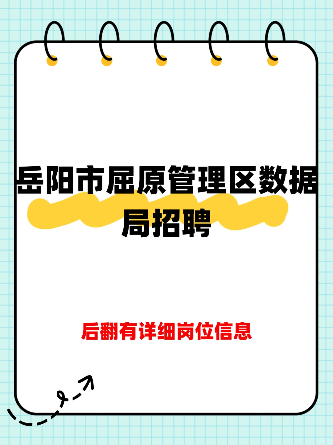 湖南省岳阳市屈原管理区数据局招聘