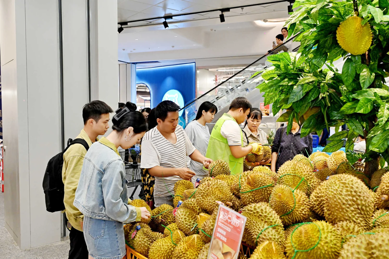 成都盒马西宸店开业啦！