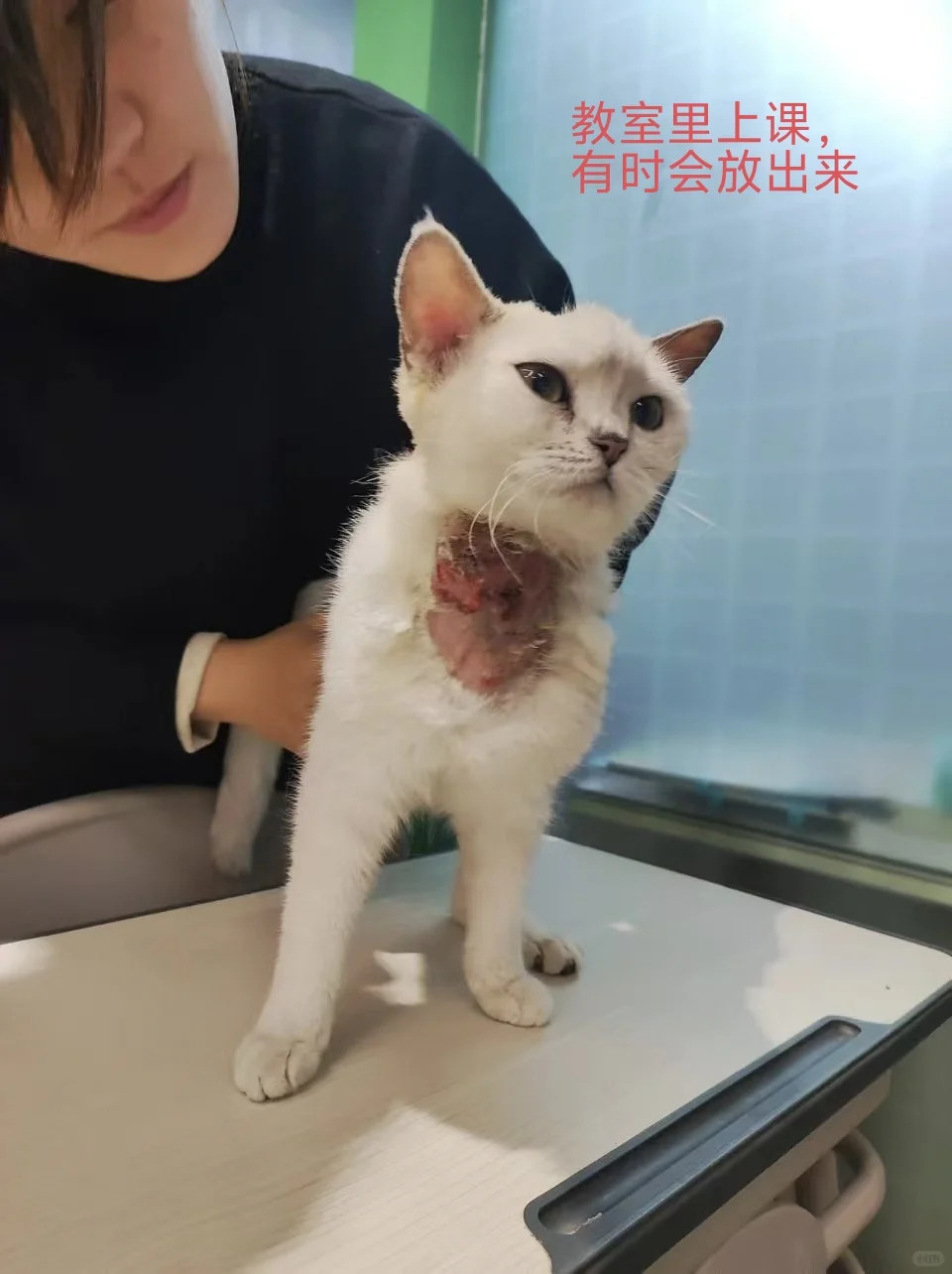 江西学音乐的注意了，真实经历分享