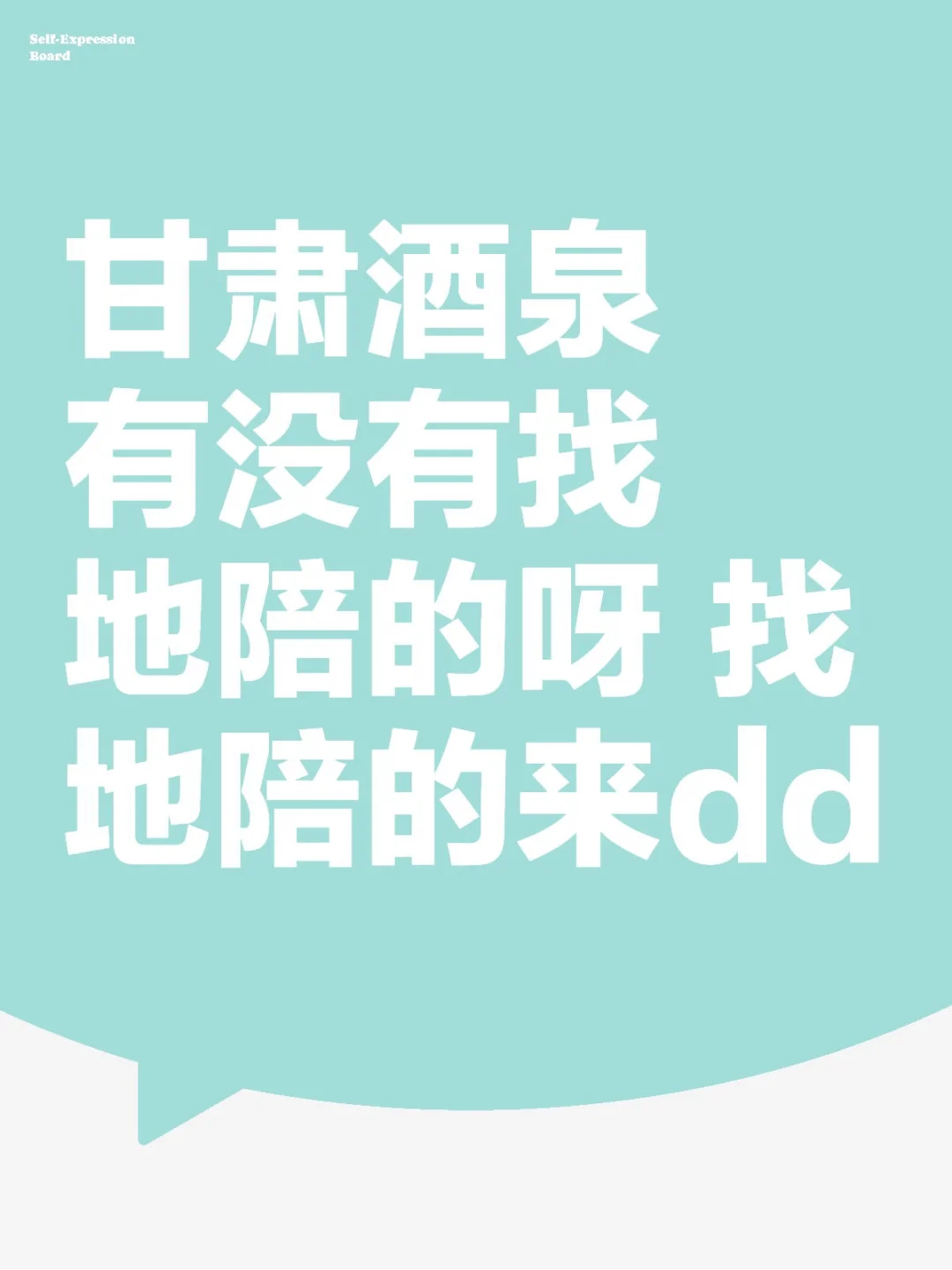 肃州区地陪