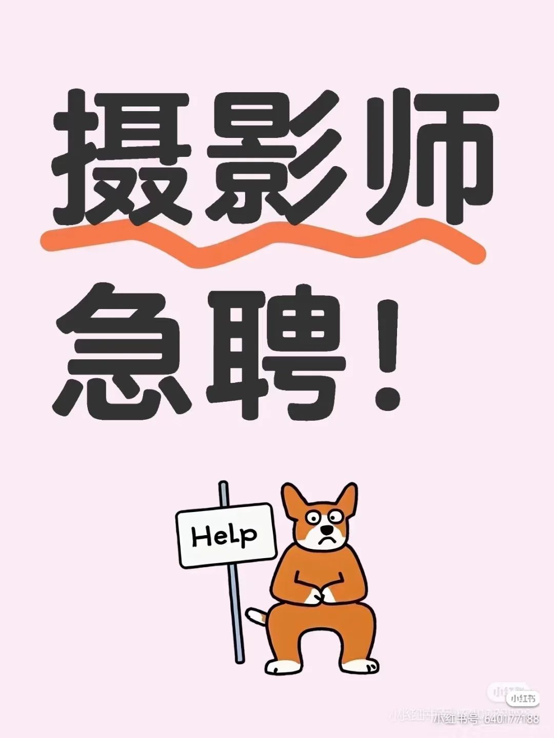 新疆 禾木 秋季 冬季 急招摄影师和化妆师