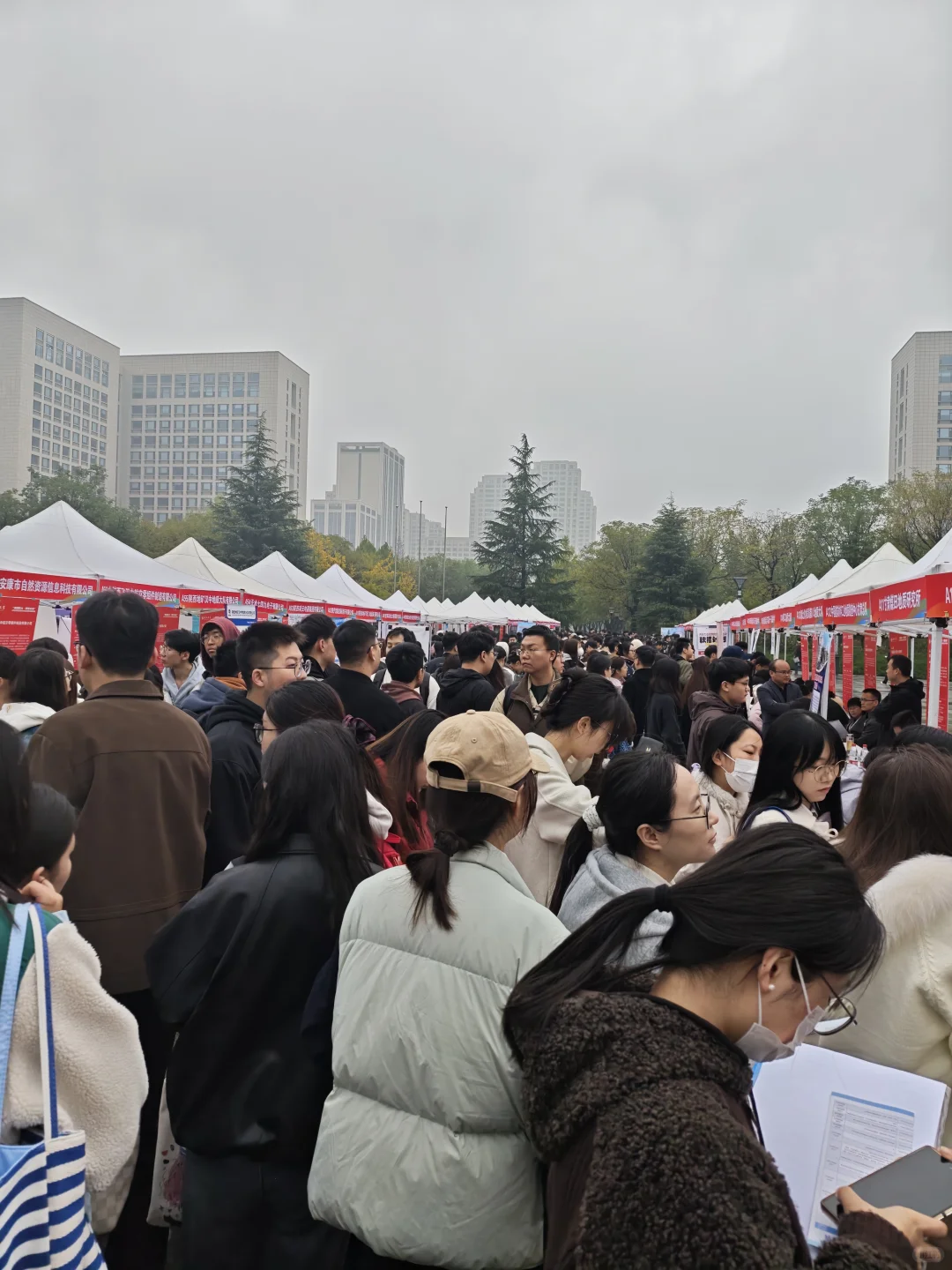 西北大学招聘会