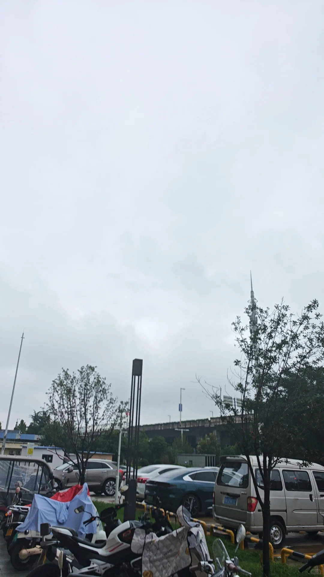 平原新区招聘啦!想找工作的小伙伴看过来