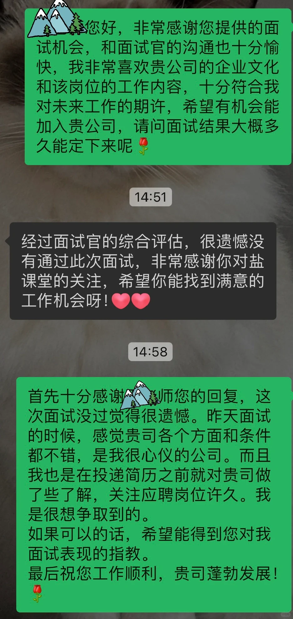 面试被拒？机会是靠自己争取的！