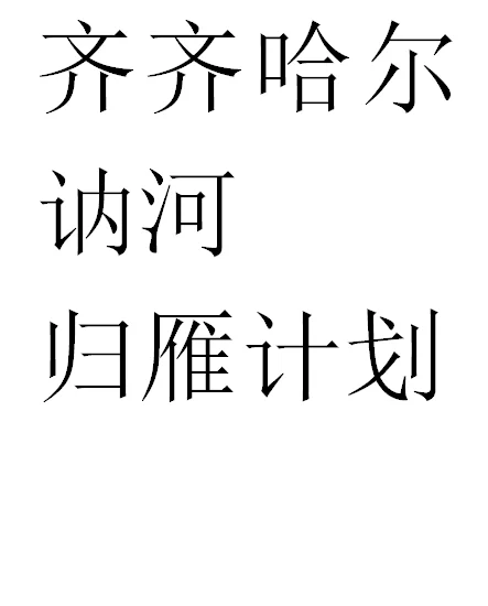 齐齐哈尔—讷河—归雁计划