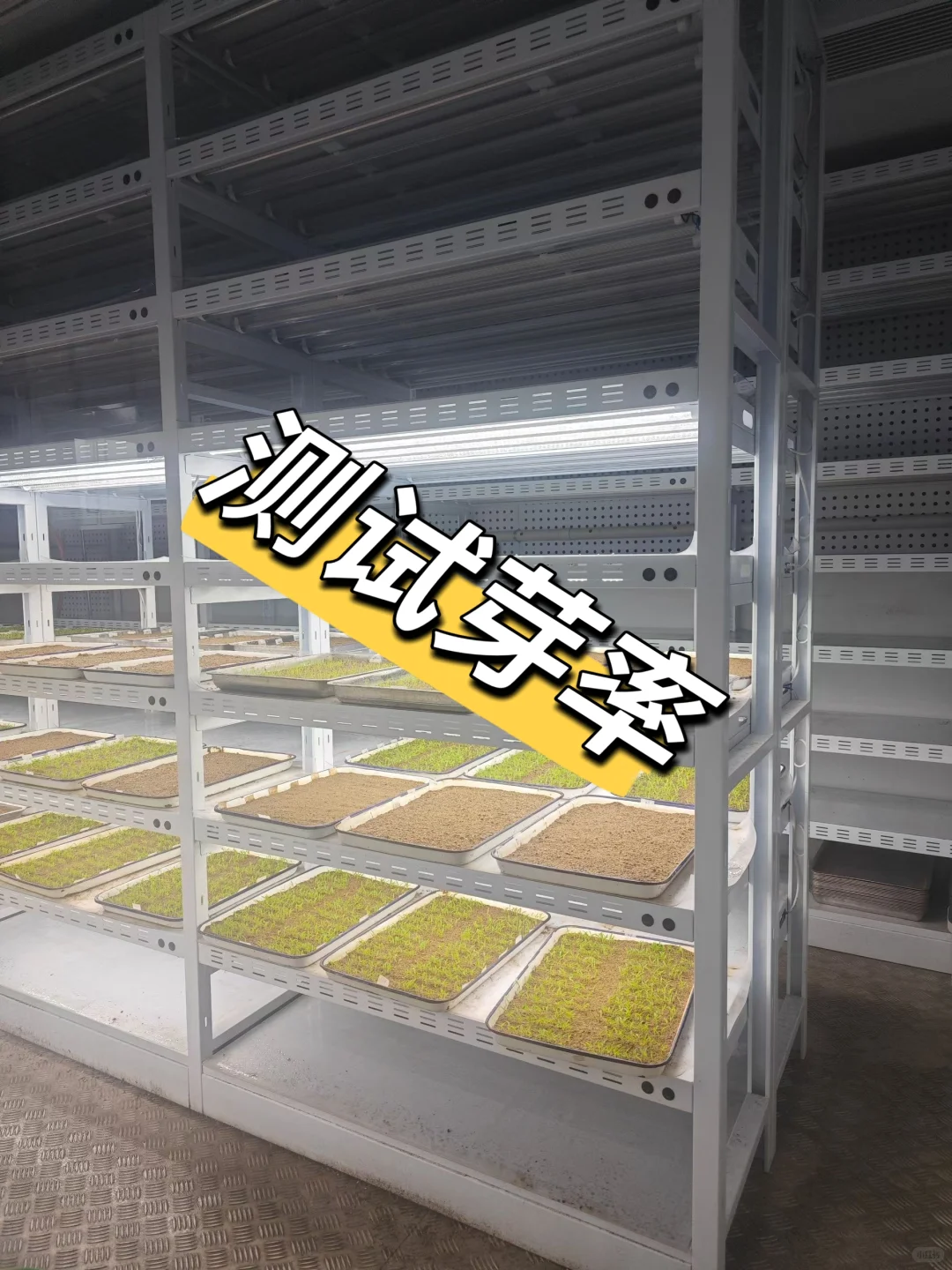 在农业公司上班的日常😍，你能接受吗