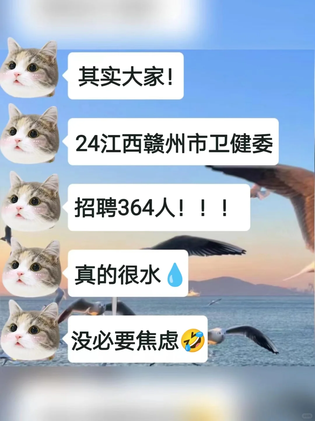 24江西赣州卫健委，内部～太老实是考不过的
