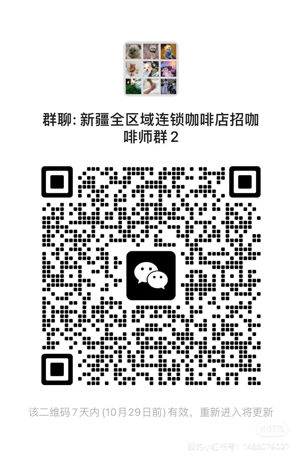 新疆全区域咖啡师招聘（门店就近安排）