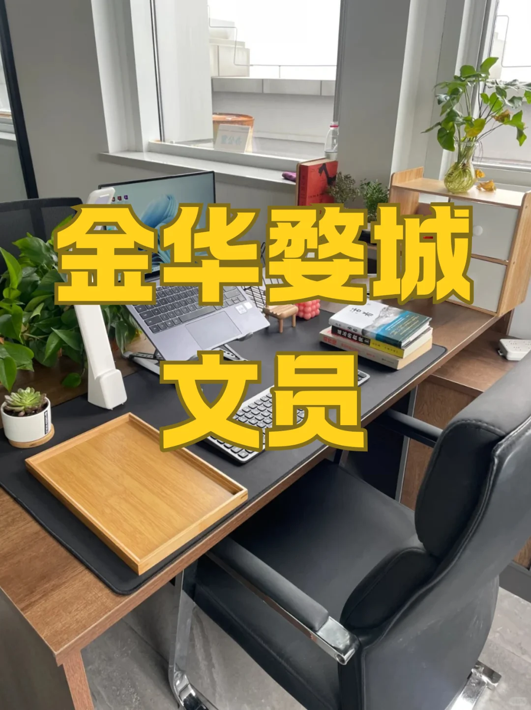 金华婺城文员｜一起摸摸鱼