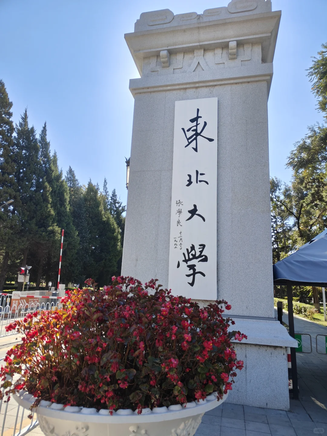 都不白来啊都不白来