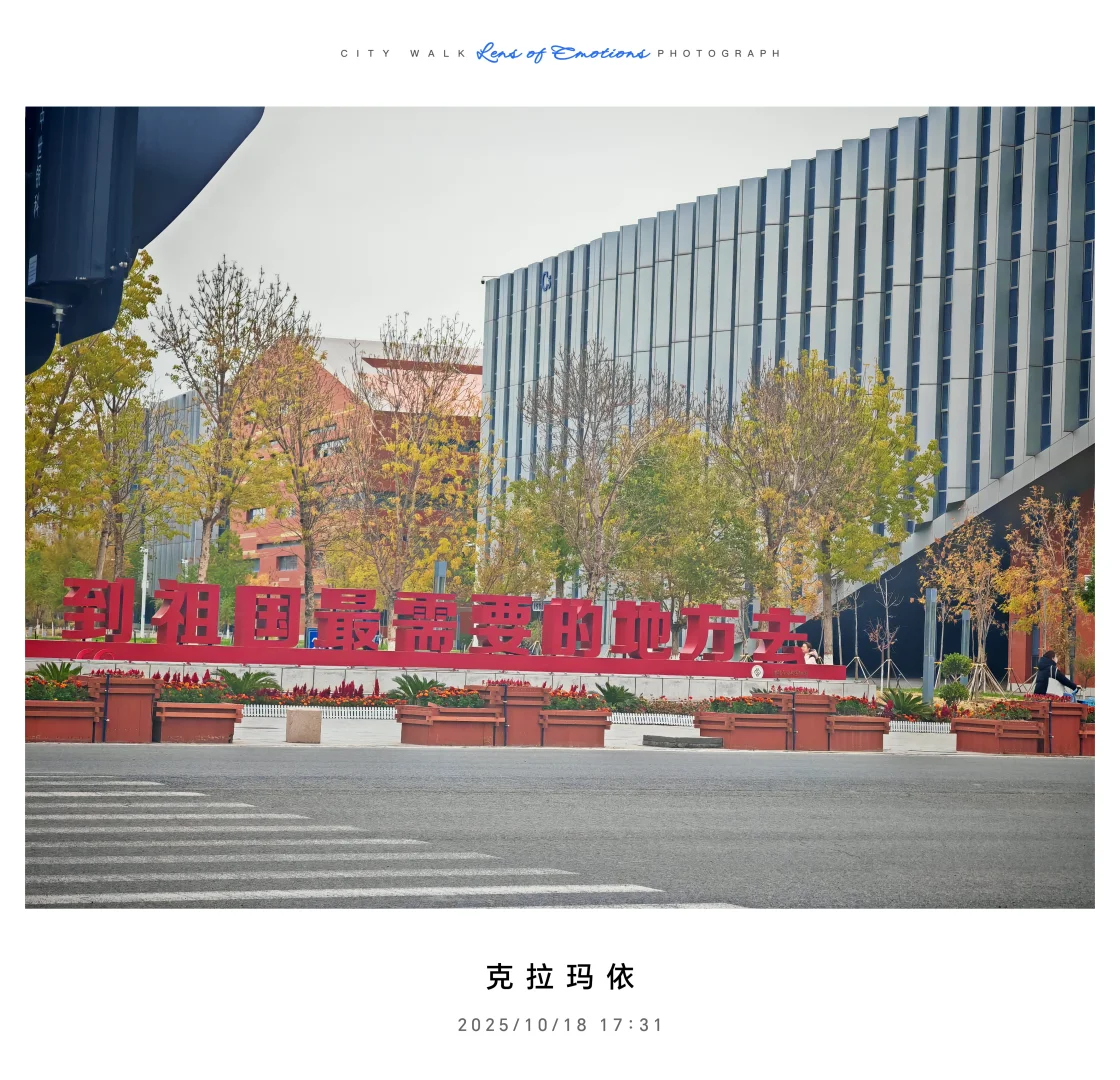 求职往返千余里，唯经务实得正道