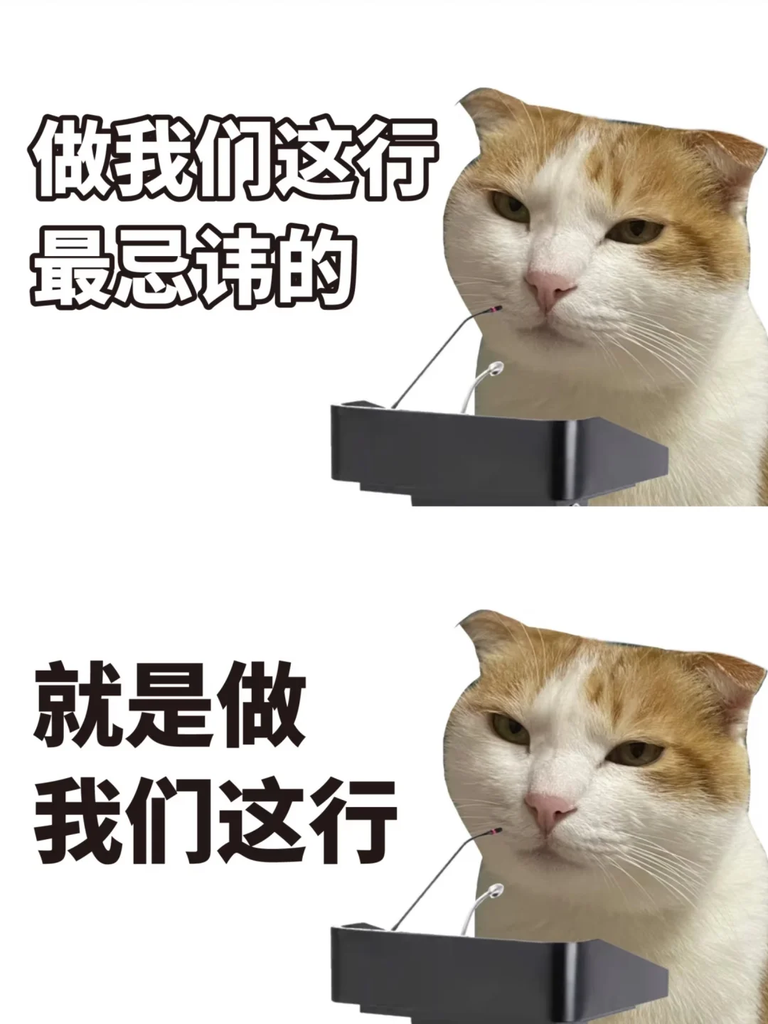 中科大秋招Plog 被大厂伤过的心还可以爱谁