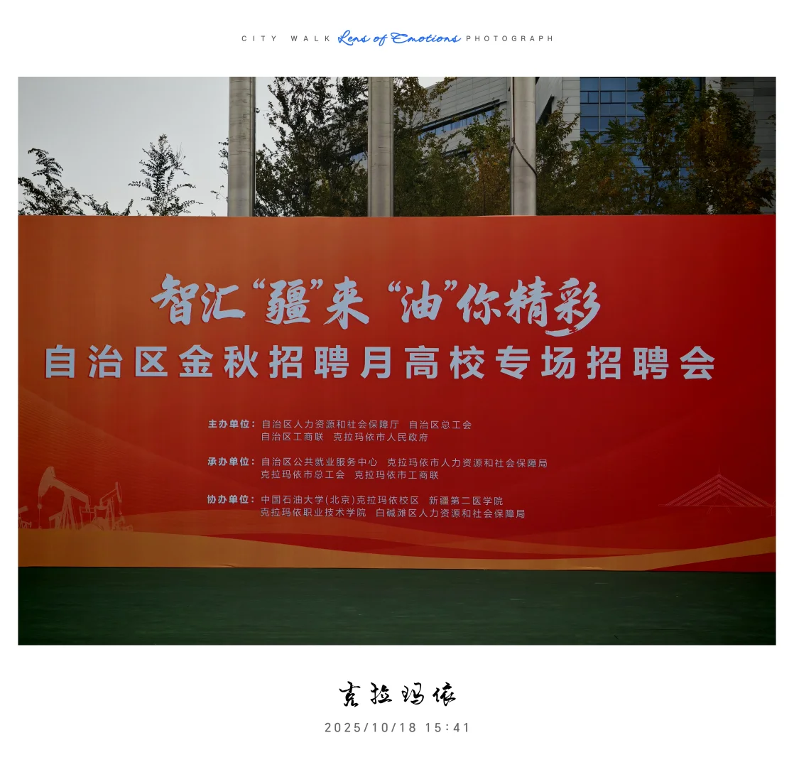 求职往返千余里，唯经务实得正道