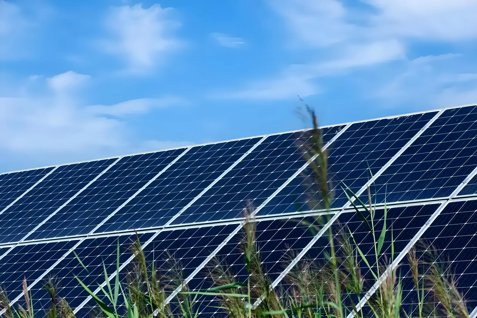 广东能源集团新能源板块