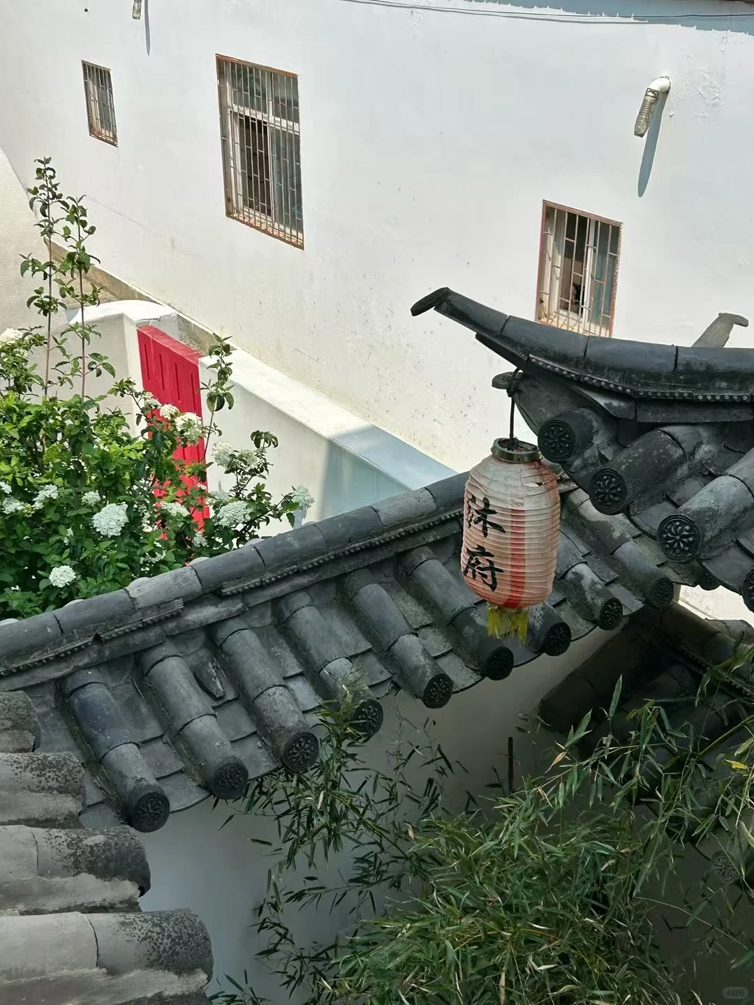 邵阳招工 大祥区来人 ！