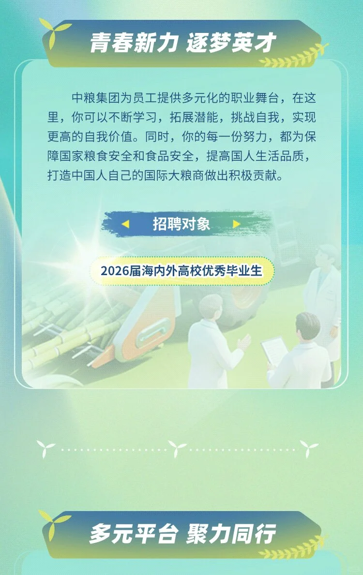 中粮集团2026招聘公告