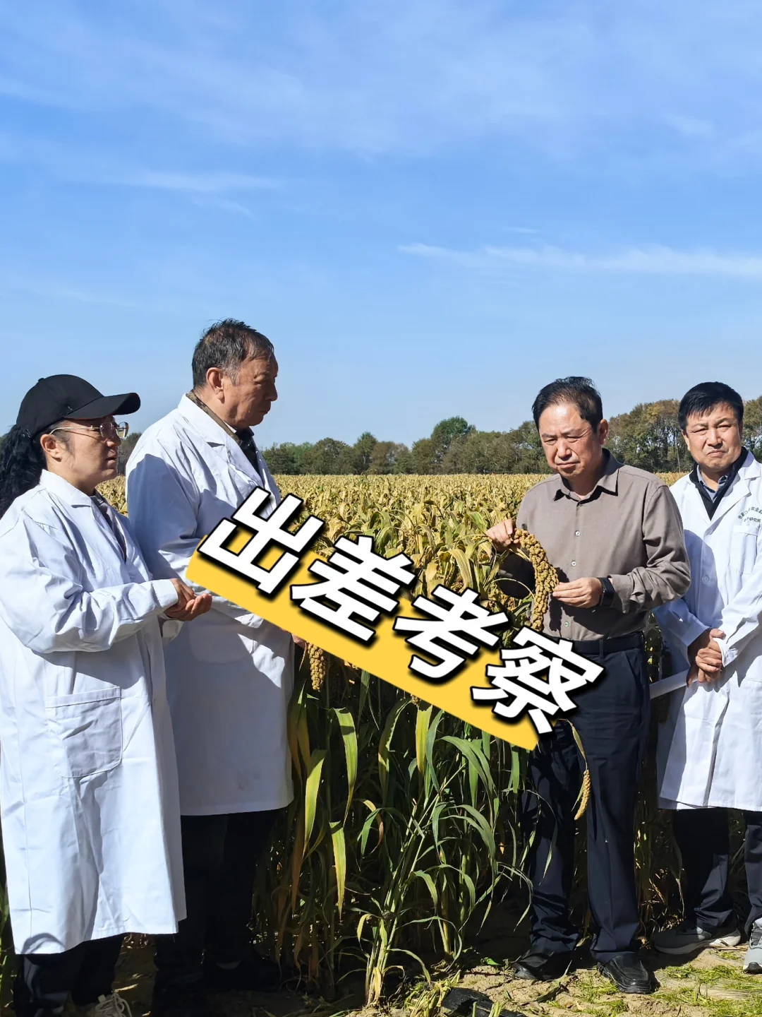 在农业公司上班的日常😍，你能接受吗