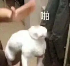 资阳人才引进436人!