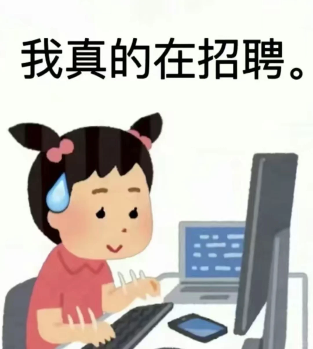 招人啦 有没有找工作的宝宝呀