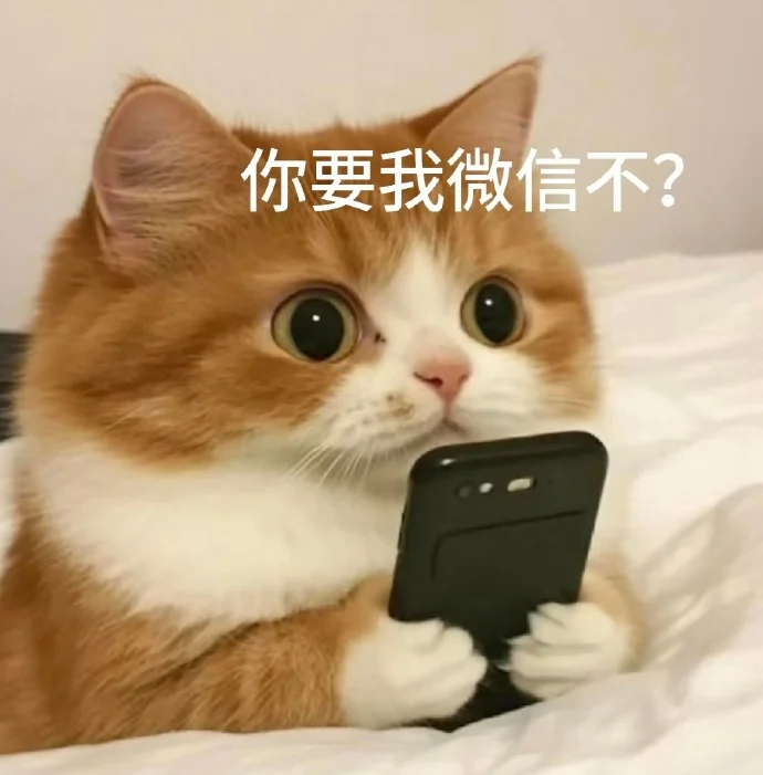淮北男找女