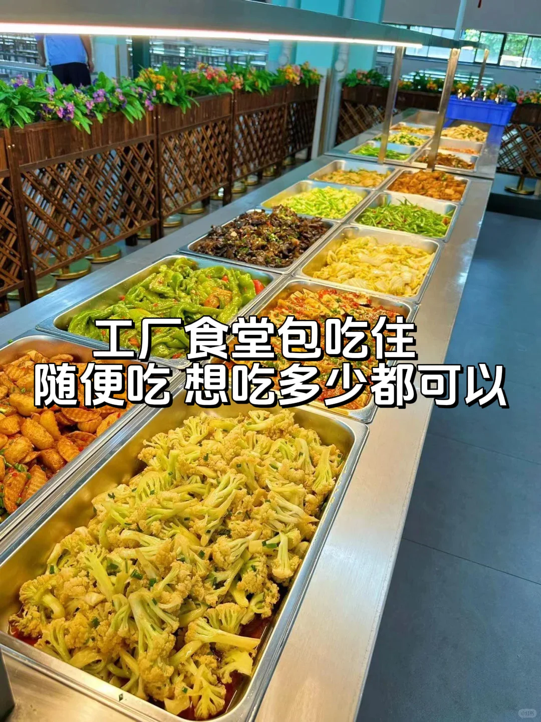 东莞开始招工了月六千多