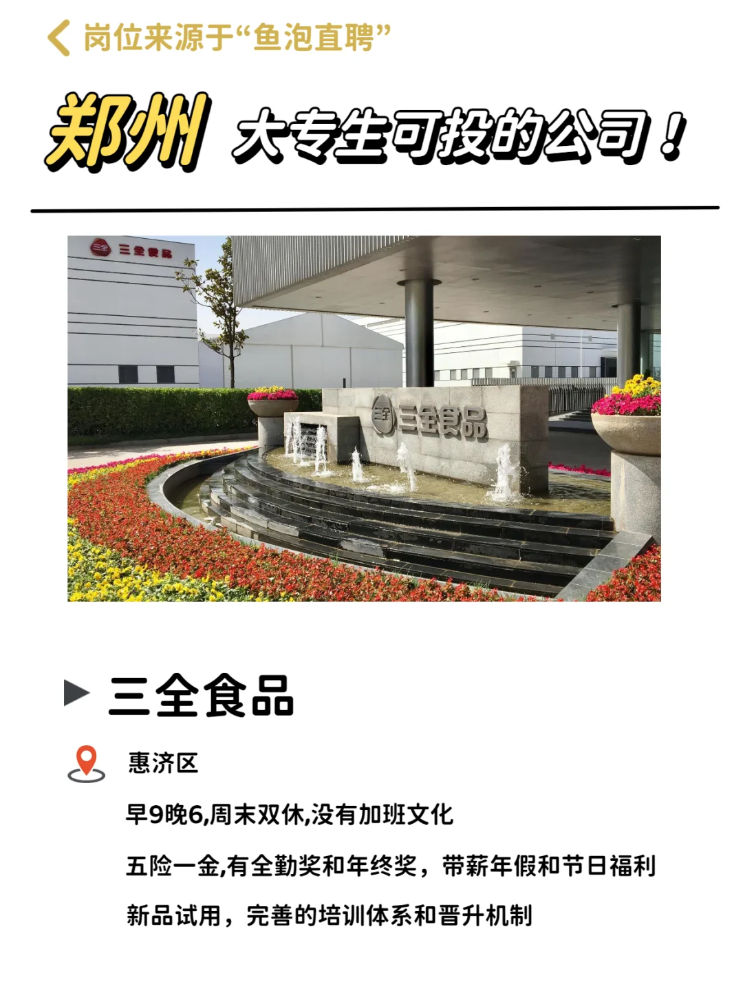 郑州大专生可投的宝藏公司，双休待遇优厚