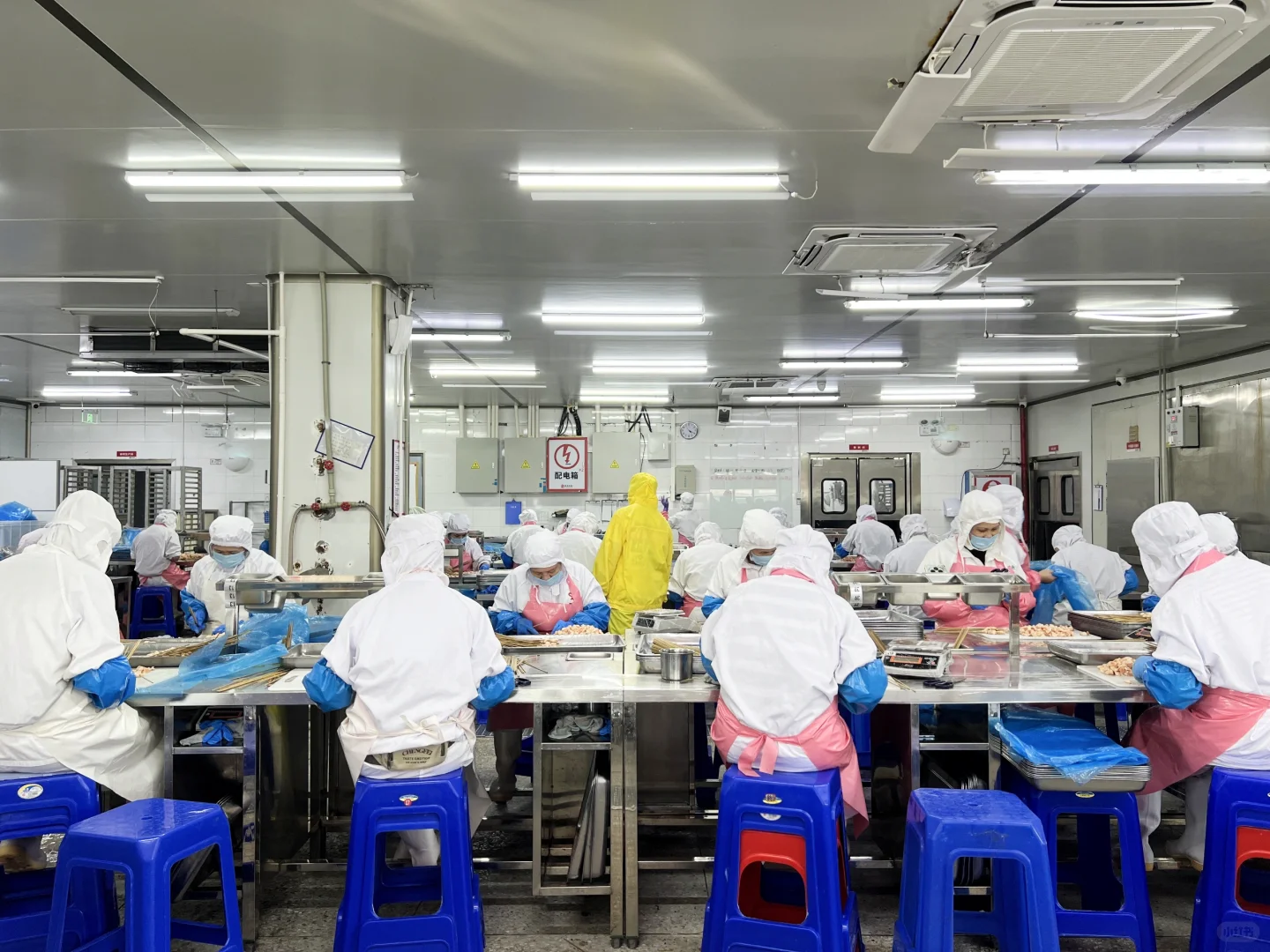 食品厂大量招人了