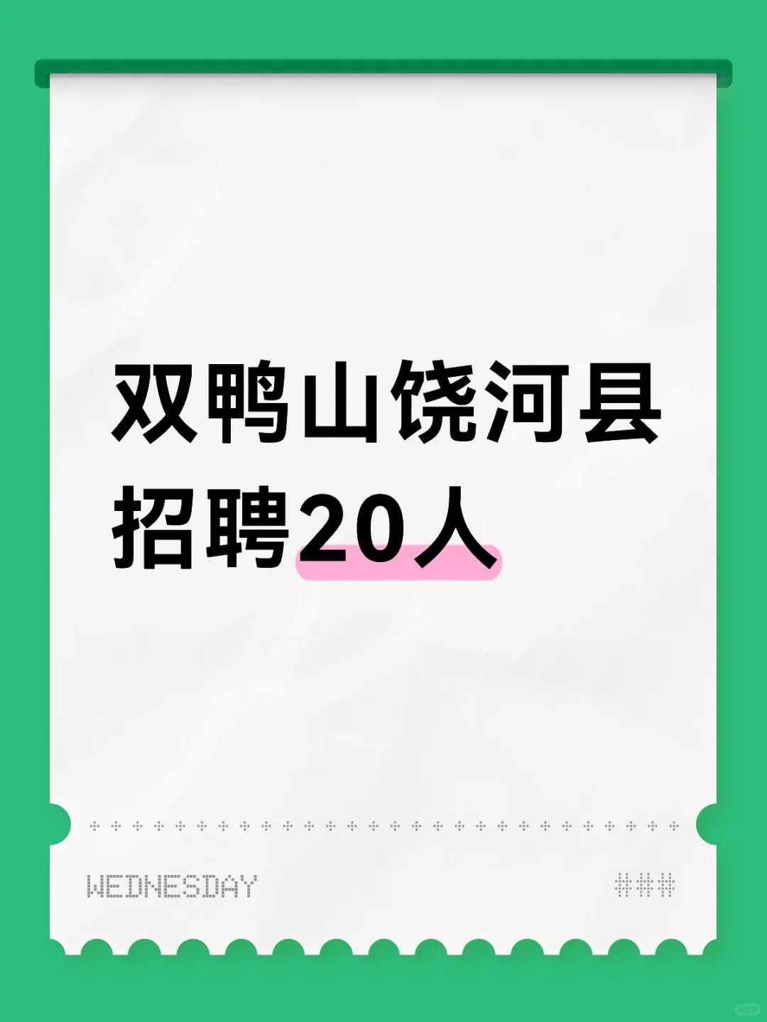 双鸭山饶河县招聘20人