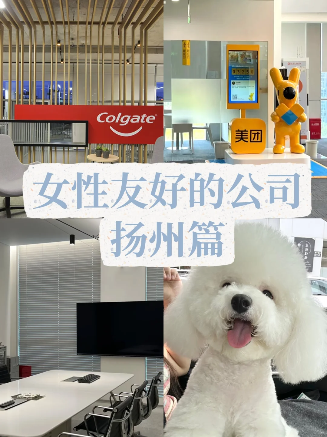 扬州女性友好公司—女性支持—人文关怀