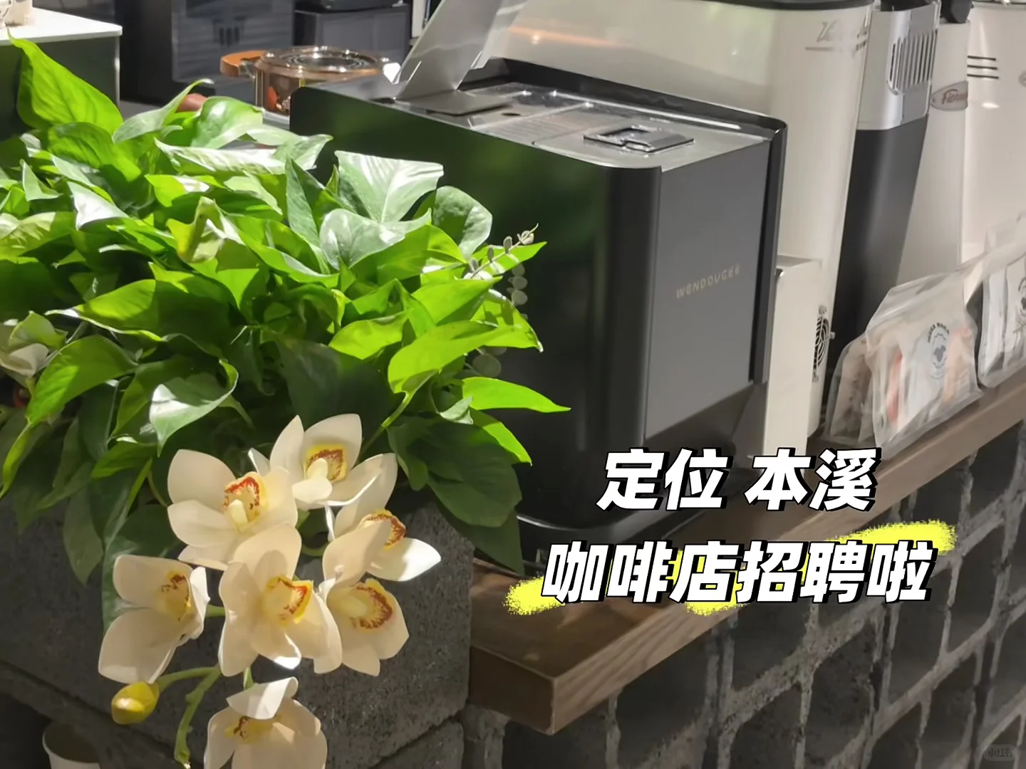 本溪咖啡店招聘啦