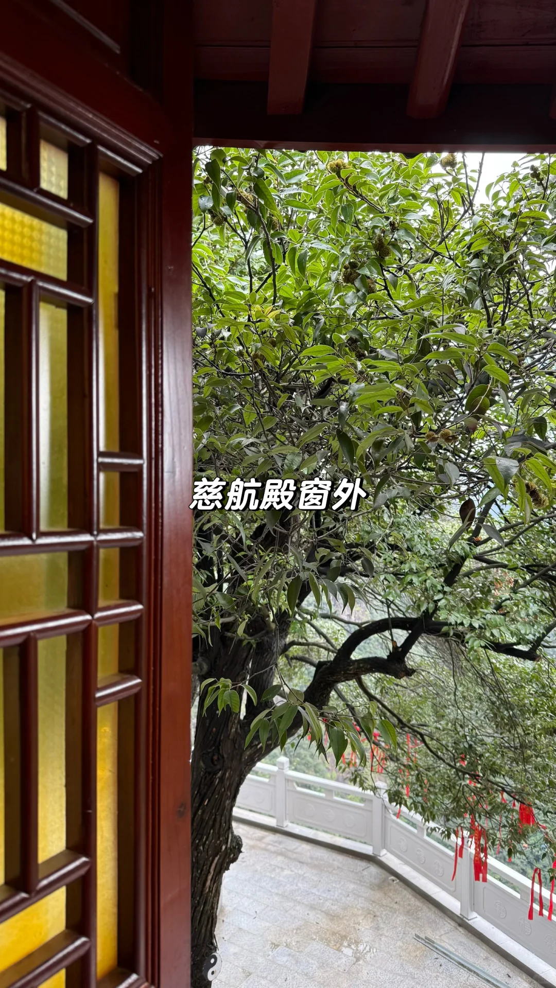 浙江金华道观招义工