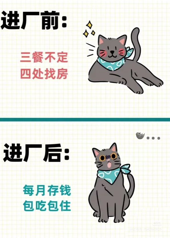 咸宁工厂包吃包住买五险