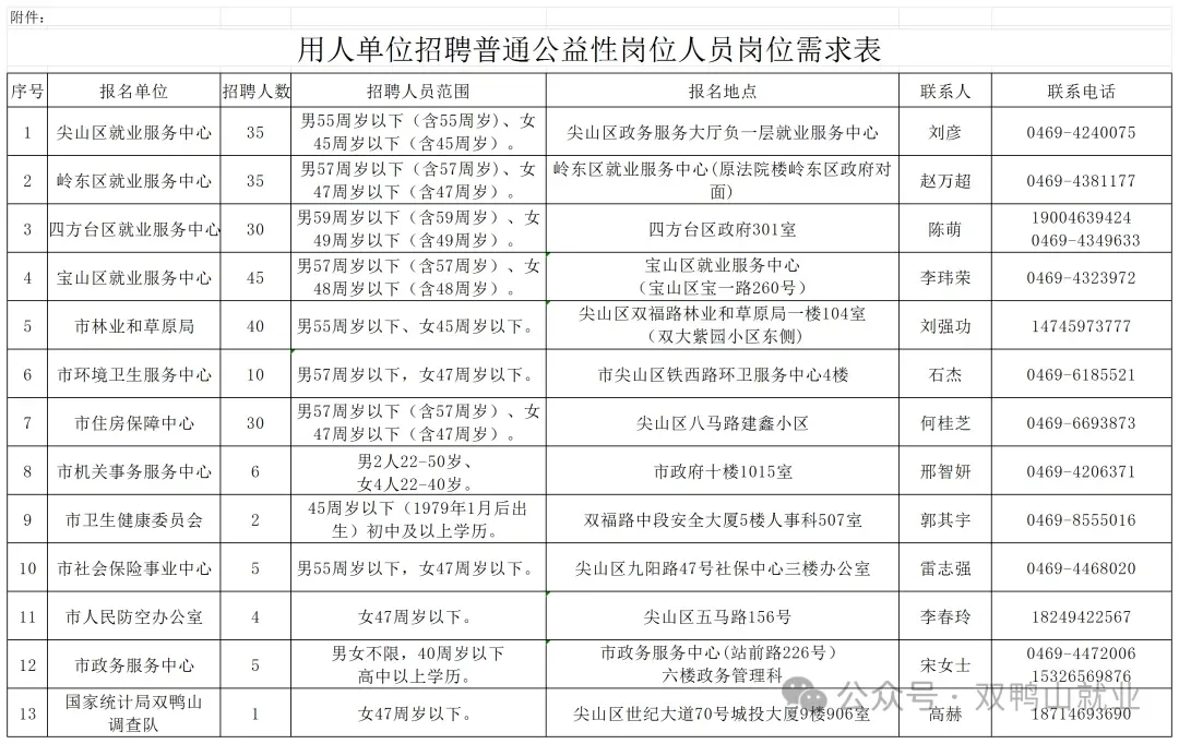 2025年双鸭山市区招聘248人【曲线入编】