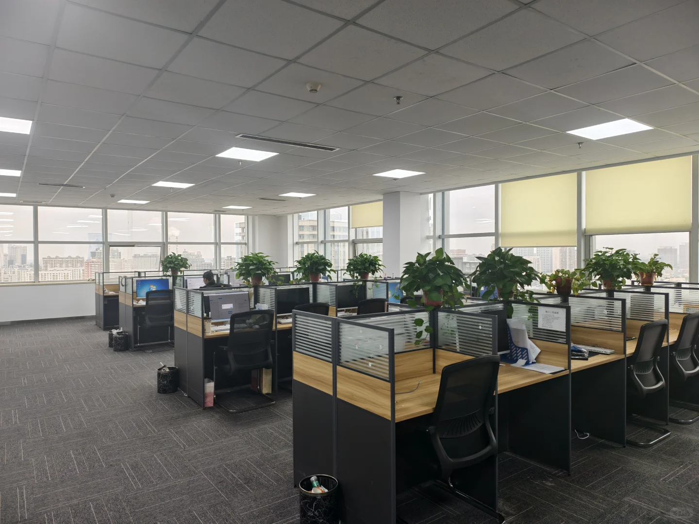 招聘啦！！！双休！！！五险一金！！！