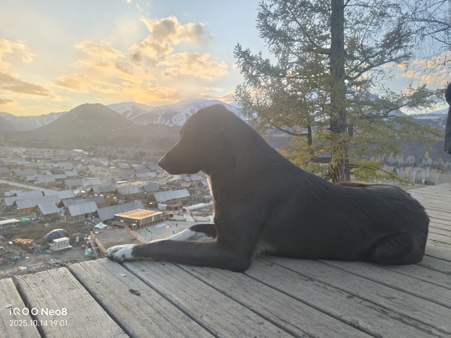 阿勒泰禾木招聘人才